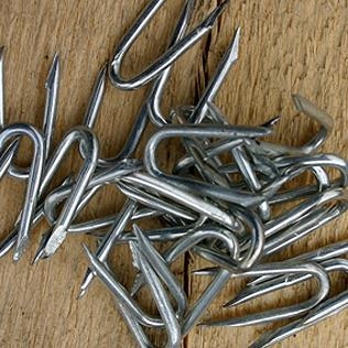 Galv Staples(Wire Nett 20mm x 2.5Kg